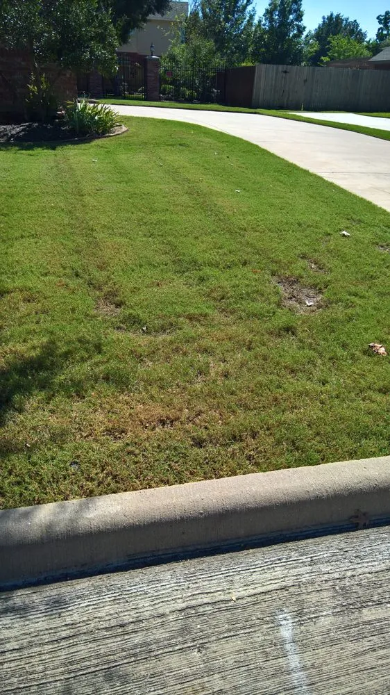 Custom yard cleanup service with custom design in Watauga, TX by R&A Landscaping