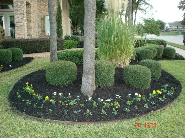 Local yard maintenance in Watauga, TX - R&A Landscaping