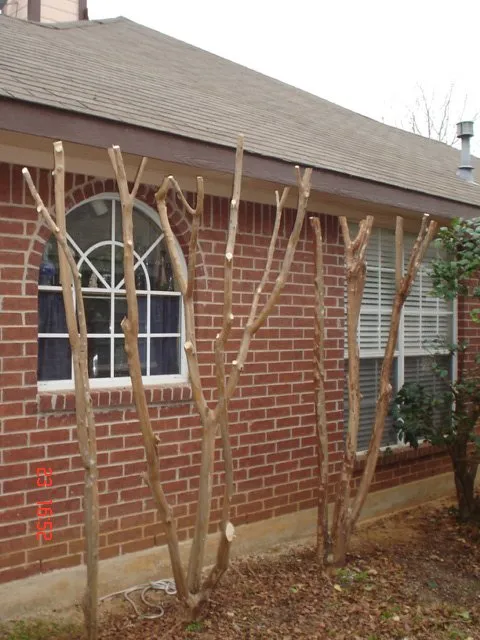 Professional lawn mowing service in Watauga, TX - R&A Landscaping