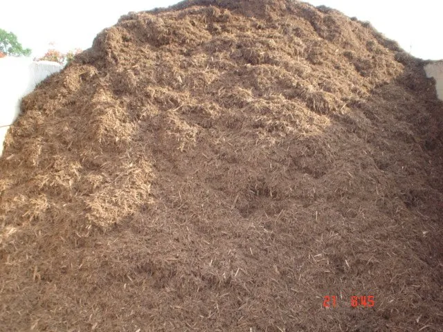 Reliable lawn care service experts serving Watauga, TX - R&A Landscaping