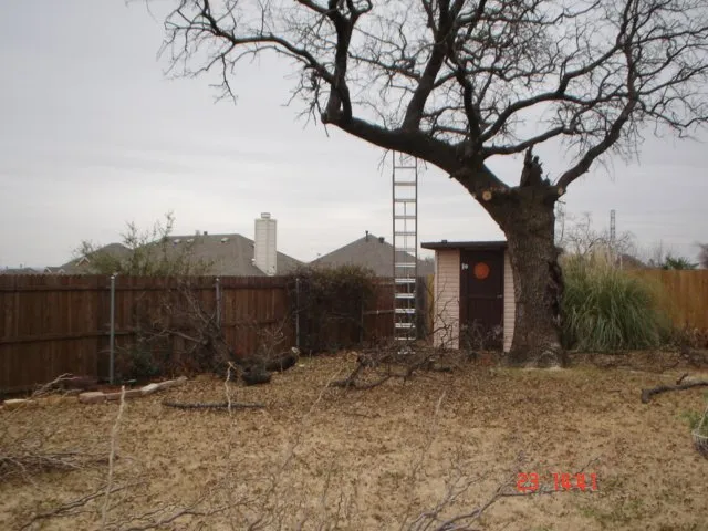 Local yard cleanup service experts serving Watauga, TX - R&A Landscaping