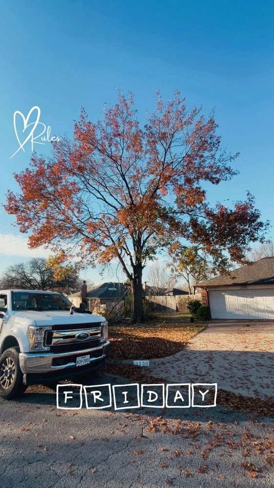 Professional garden landscaping experts serving Forest Hill, TX - R&A Lawn & Tree Service