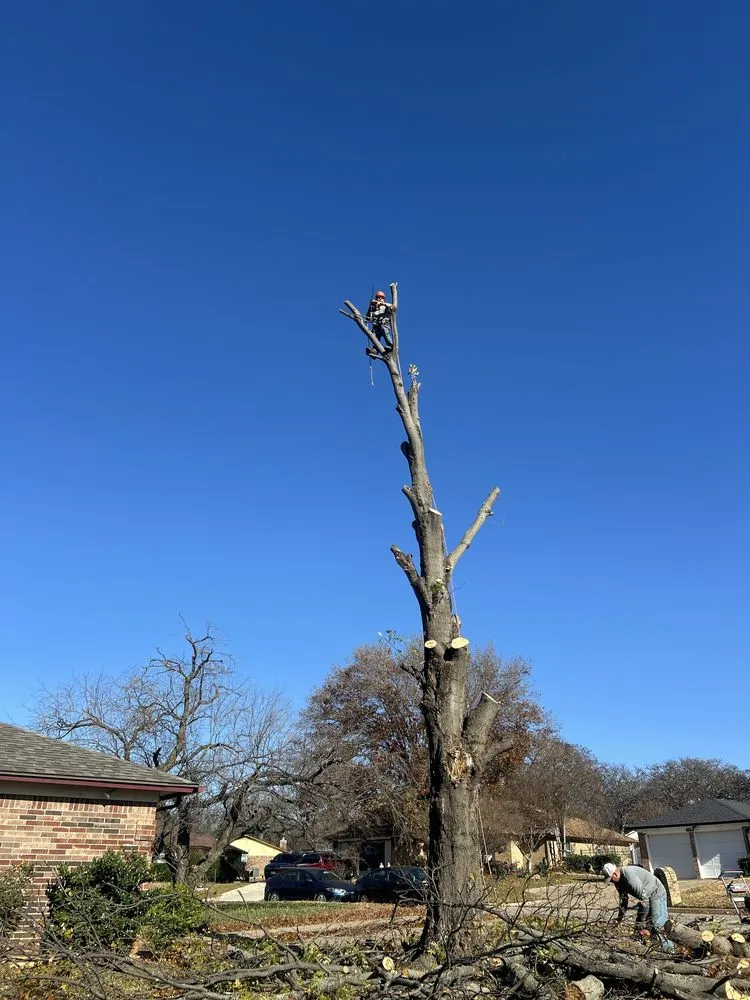 Professional landscape installation for homes across Forest Hill, TX - R&A Lawn & Tree Service