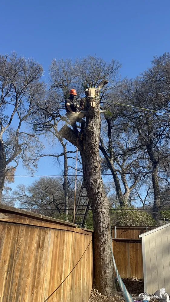 Top-rated lawn mowing service near you in Forest Hill, TX by R&A Lawn & Tree Service