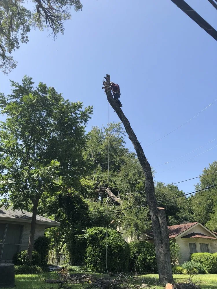 Expert yard maintenance in Forest Hill, TX - R&A Lawn & Tree Service