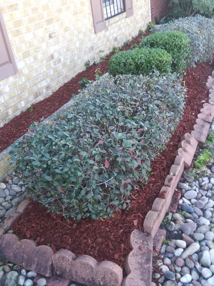 Top-rated garden landscaping in Baker, LA by R&A Lawn Barber