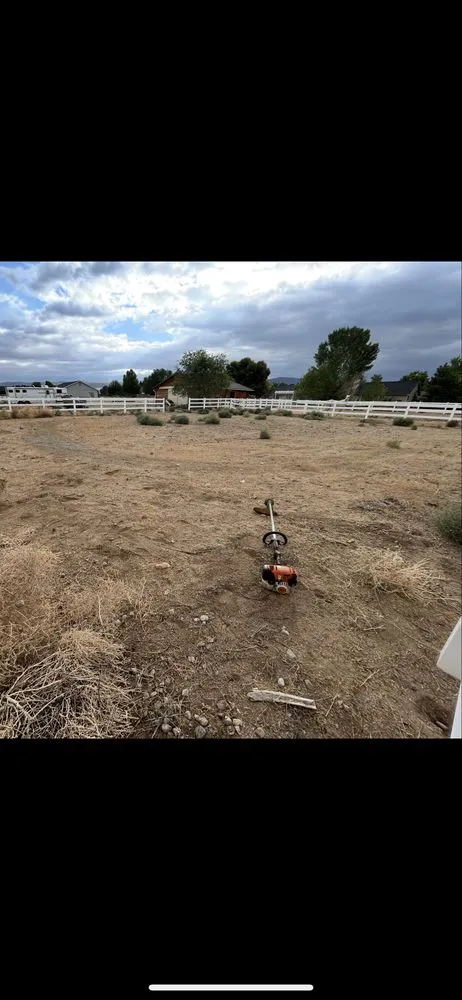 Top-rated landscaping services for beautiful yards in Sun Valley, NV by R&A Lawn Services