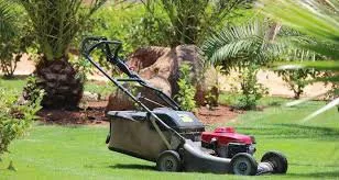 Trusted lawn care service in Miami, FL - R&A Lawns Services