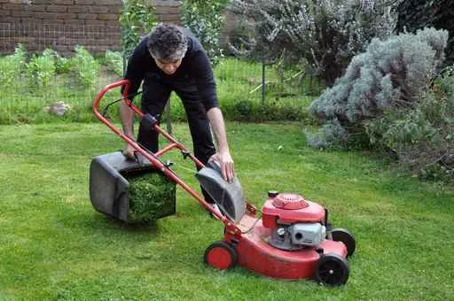 Custom landscape installation for year-round maintenance in Miami, FL by R&A Lawns Services