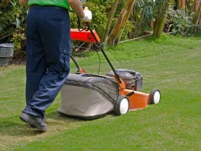 Professional lawn care service in Miami, FL - R&A Lawns Services