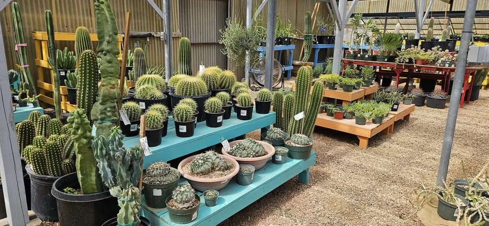 Professional landscape design with custom design across Comfort, TX - RA Texas Nursery Gravel & Stone