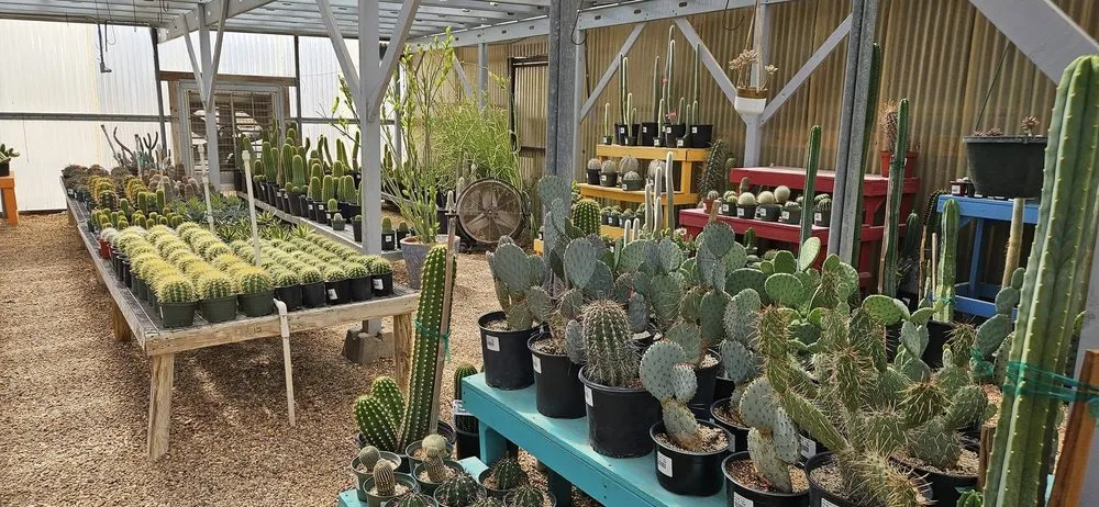 Affordable lawn mowing service for outdoor upgrades in Comfort, TX by RA Texas Nursery Gravel & Stone