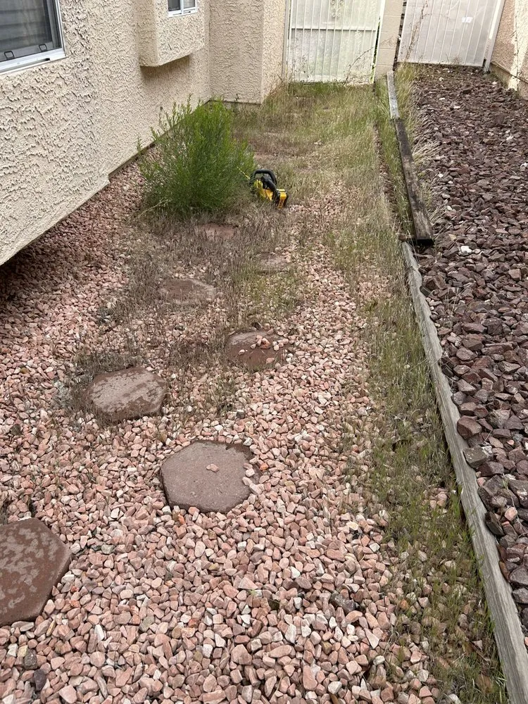 Trusted yard maintenance experts serving Mesquite, NV - Rabago’s Handyman and Maintenance