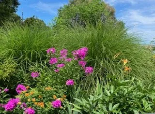 Expert residential landscaping in Bar Harbor, ME by Rabasca Property Services