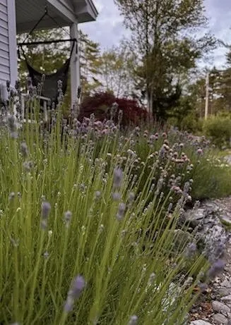 Expert outdoor landscaping in Bar Harbor, ME by Rabasca Property Services