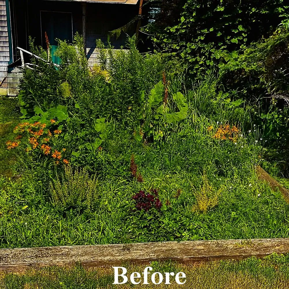 Custom lawn mowing service for year-round maintenance in Bar Harbor, ME by Rabasca Property Services