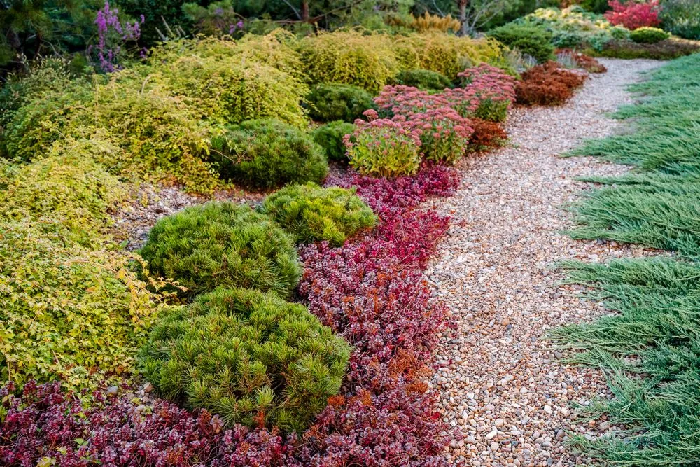 Reliable yard cleanup service in Bar Harbor, ME - Rabasca Property Services