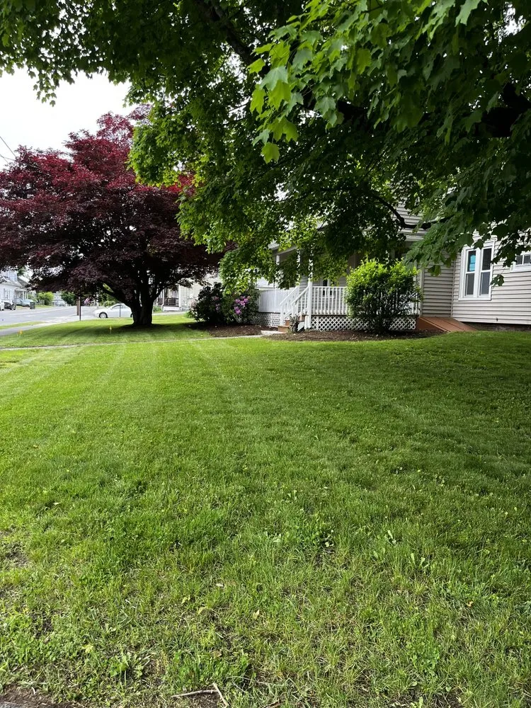 Expert landscape design for year-round maintenance across Worcester, MA - Rabbit Grass Landscape