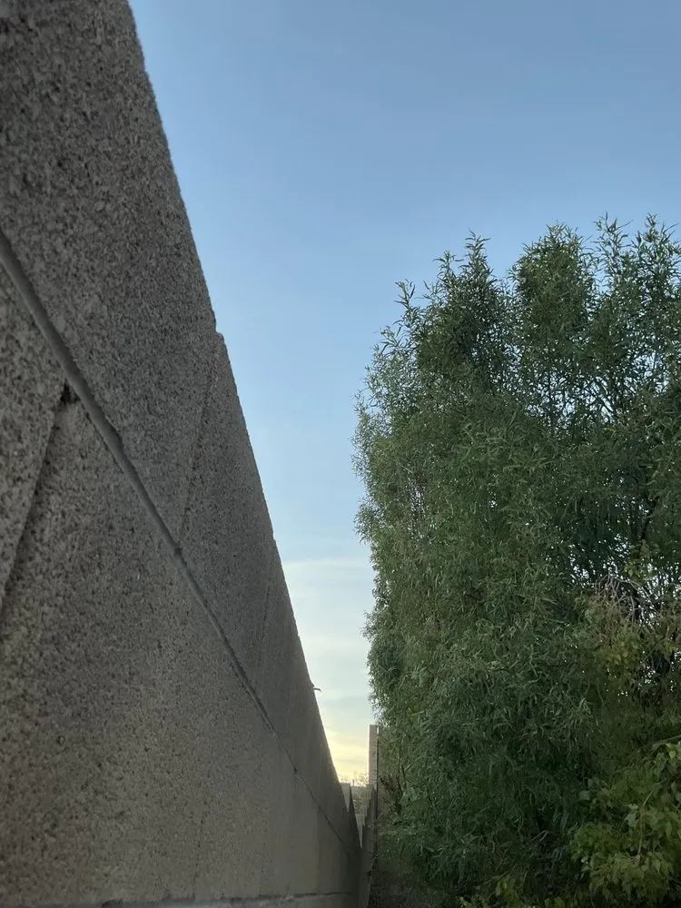 Custom yard cleanup service in Las Vegas, NV - Rabbits Lawn Maintenance