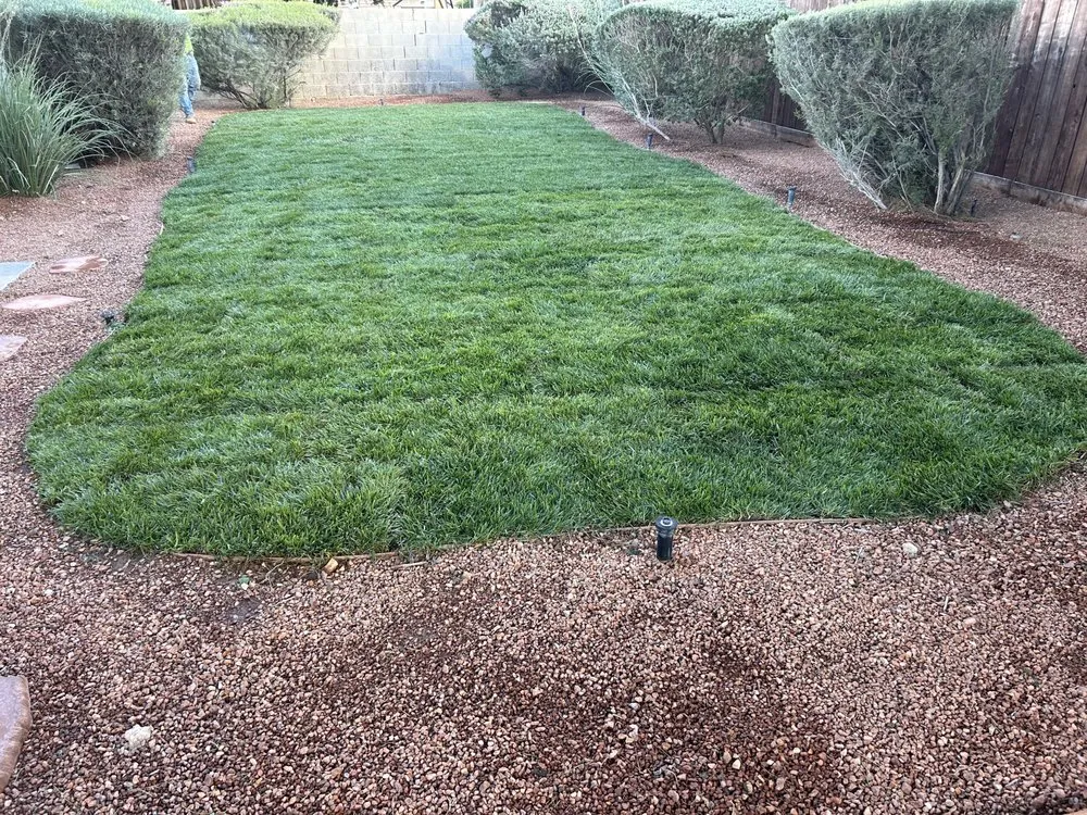 Professional landscaping services for outdoor upgrades in Las Vegas, NV by Rabbits Lawn Maintenance