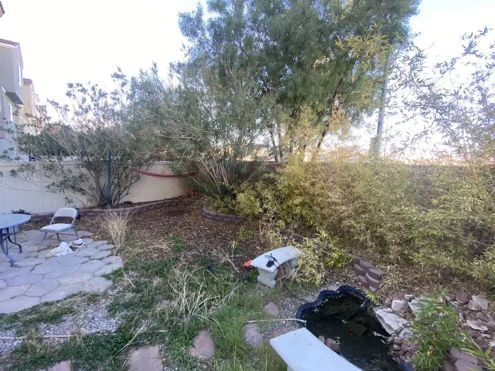 Local lawn mowing service for homes across Las Vegas, NV - Rabbits Lawn Maintenance