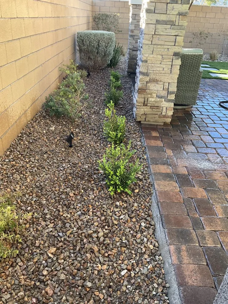 Affordable yard maintenance in Las Vegas, NV - Rabbits Lawn Maintenance