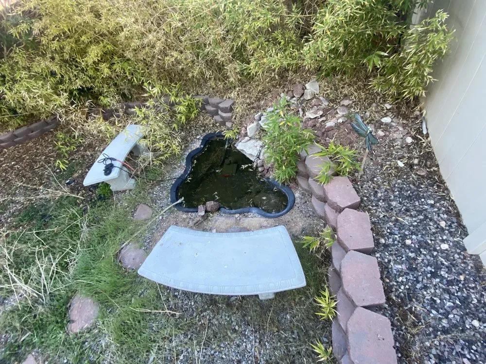 Reliable landscape design near you in Las Vegas, NV by Rabbits Lawn Maintenance