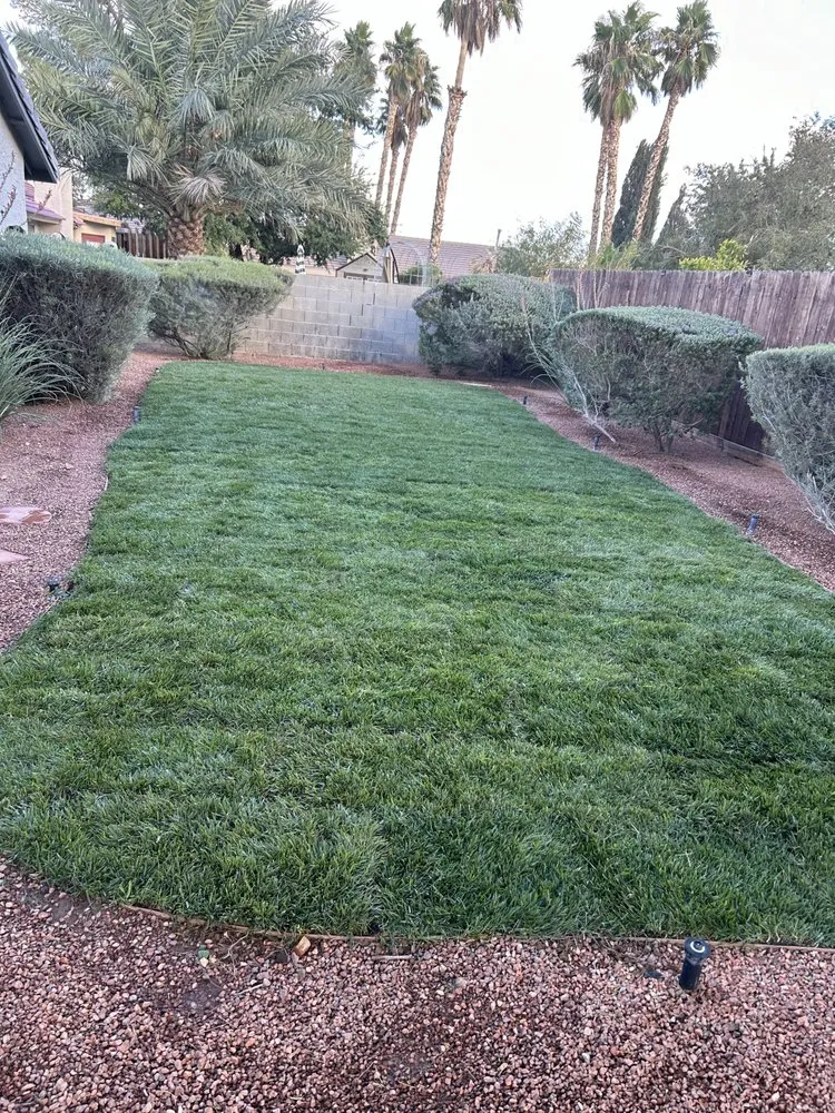 Professional garden landscaping for outdoor upgrades in Las Vegas, NV by Rabbits Lawn Maintenance