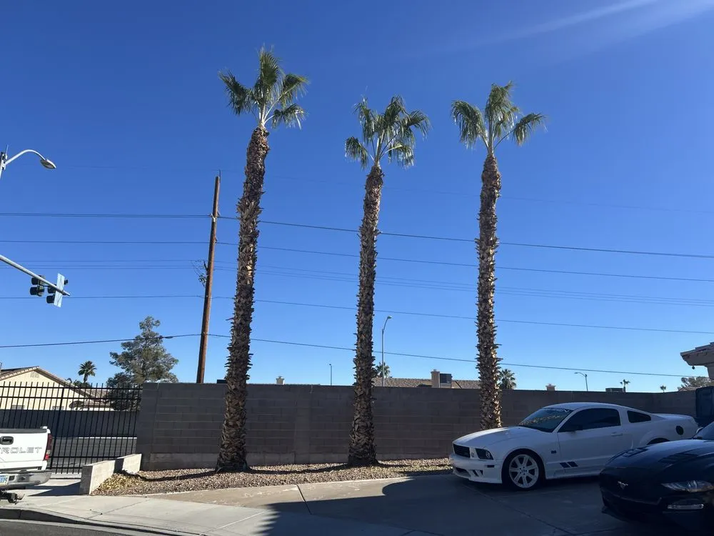 Local garden landscaping in Las Vegas, NV by Rabbits Lawn Maintenance