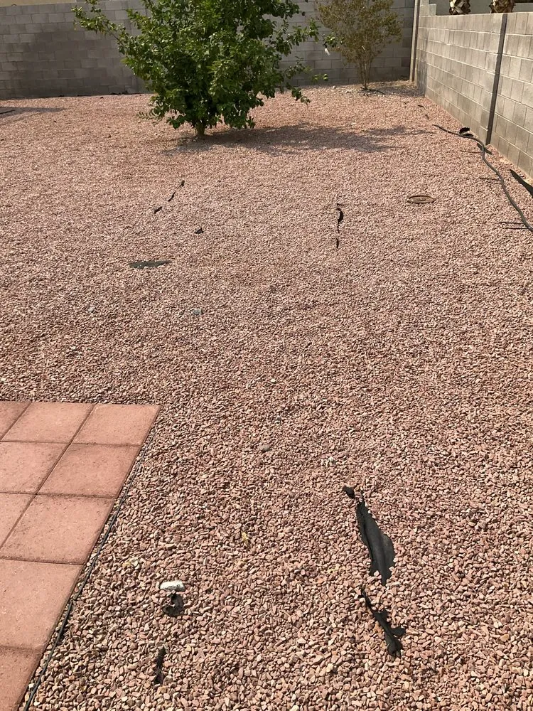 Professional outdoor landscaping in Las Vegas, NV by Rabbits Lawn Maintenance