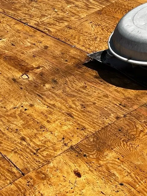 Custom yard maintenance for outdoor upgrades in Gautier, MS by Rabbitts Landscaping and Home Repair