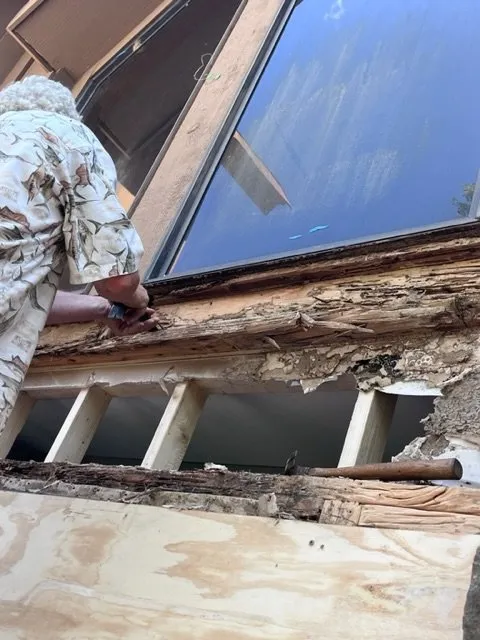 Expert yard maintenance near you in Gautier, MS by Rabbitts Landscaping and Home Repair