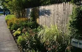 Local yard maintenance in Dover, OH by Raber Landscaping