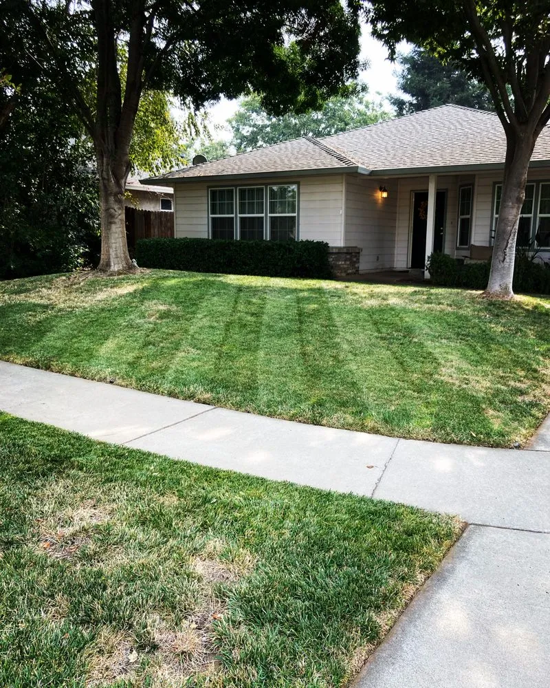 Top-rated landscaping services near you across Chico, CA - Raby Landscaping