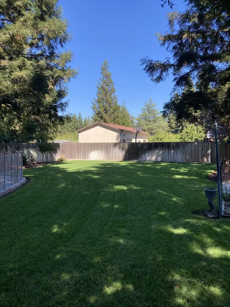 Trusted lawn care service in Chico, CA - Raby Landscaping