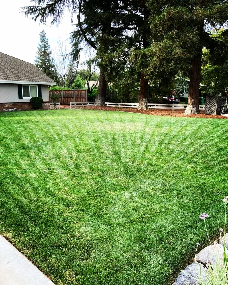 Affordable yard cleanup service near you in Chico, CA by Raby Landscaping