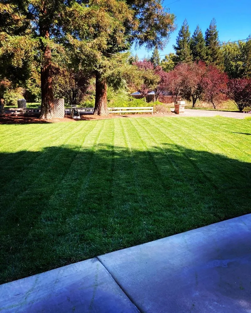 Local yard maintenance in Chico, CA - Raby Landscaping