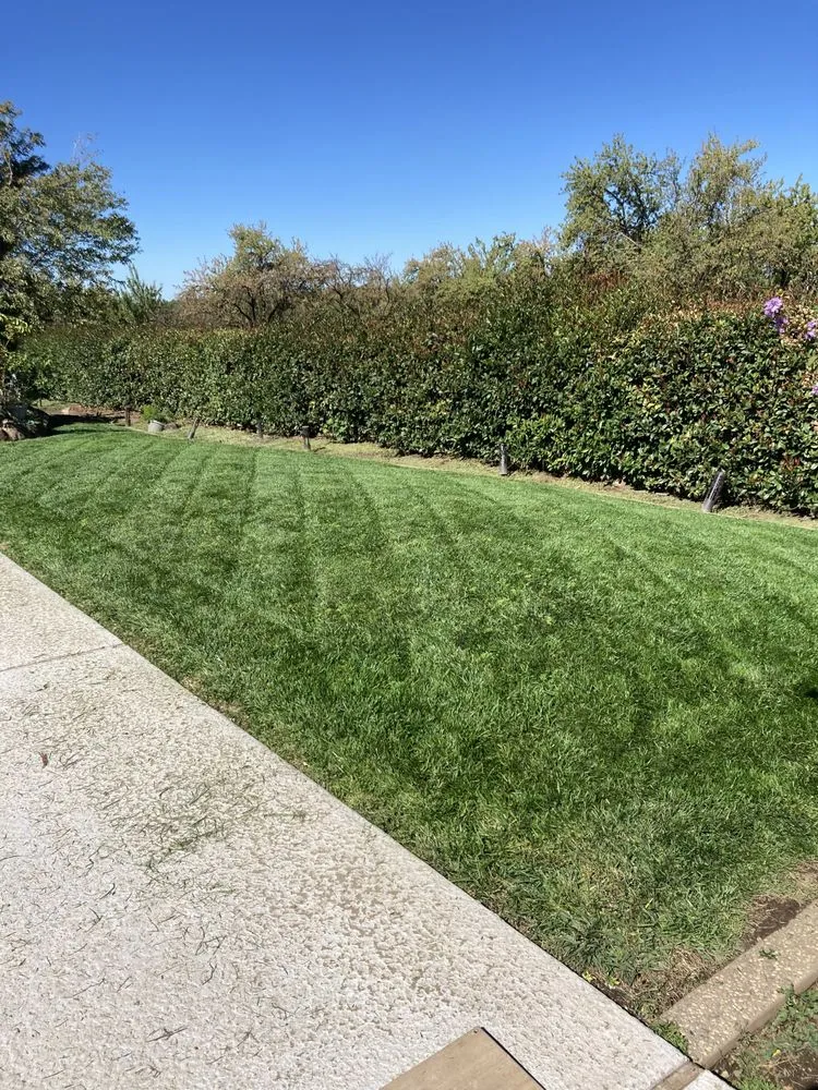 Expert lawn mowing service for beautiful yards in Chico, CA by Raby Landscaping