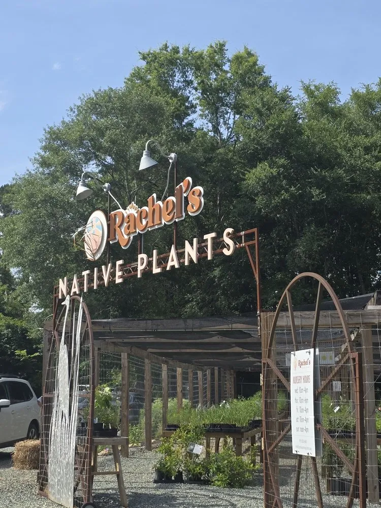 Local yard cleanup service for beautiful yards in Pittsboro, NC by Rachel's Native Plants