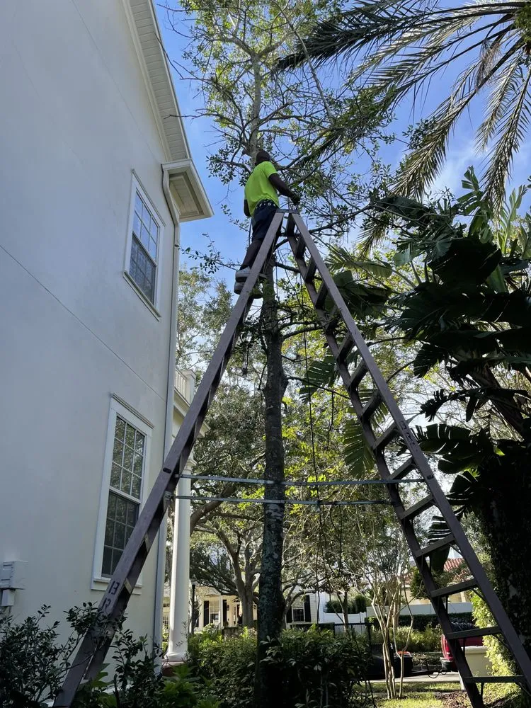 Professional landscaping services in Orlando, FL by Rachels Reliable Landscaping