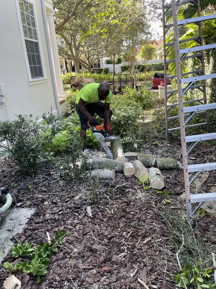 Reliable lawn care service near you in Orlando, FL by Rachels Reliable Landscaping