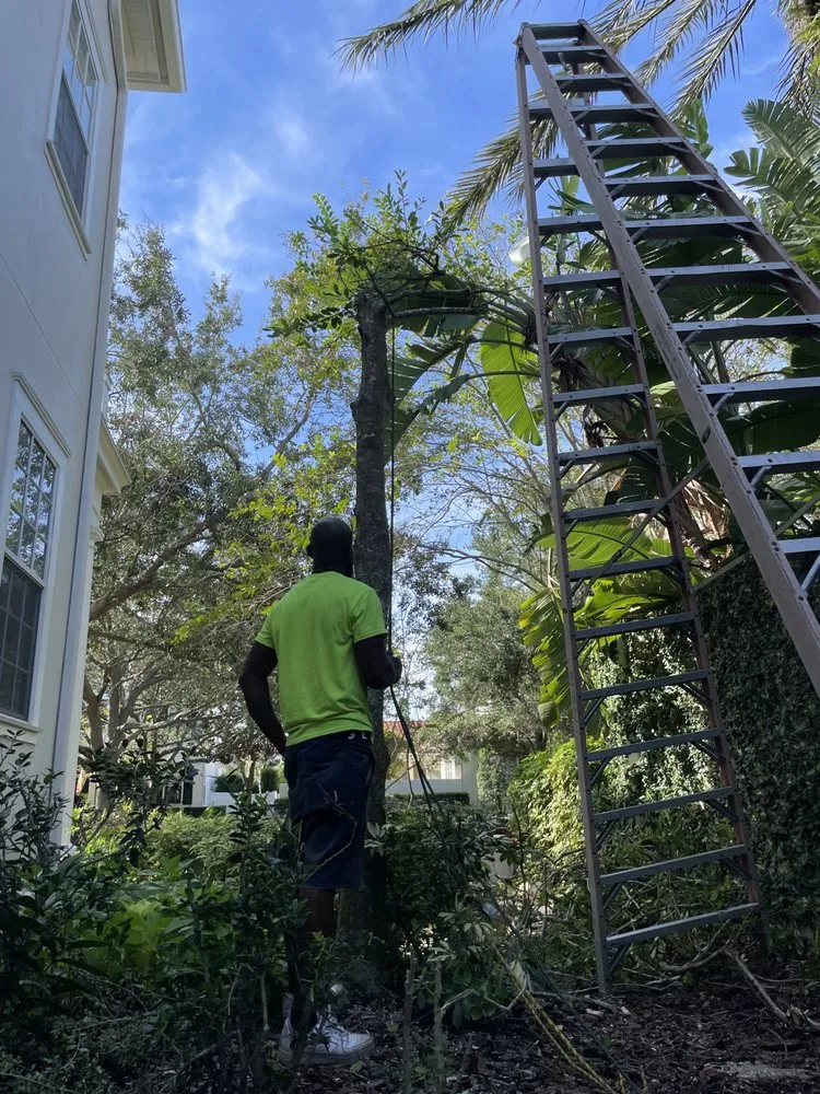 Local lawn care service in Orlando, FL - Rachels Reliable Landscaping