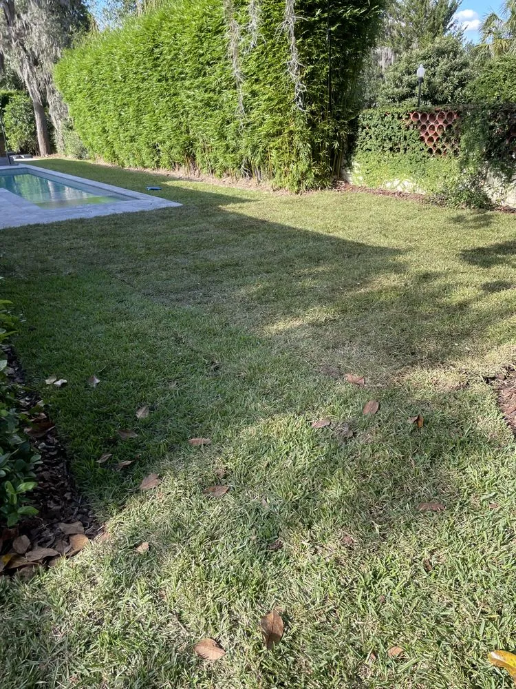 Professional landscape installation for beautiful yards in Orlando, FL by Rachels Reliable Landscaping