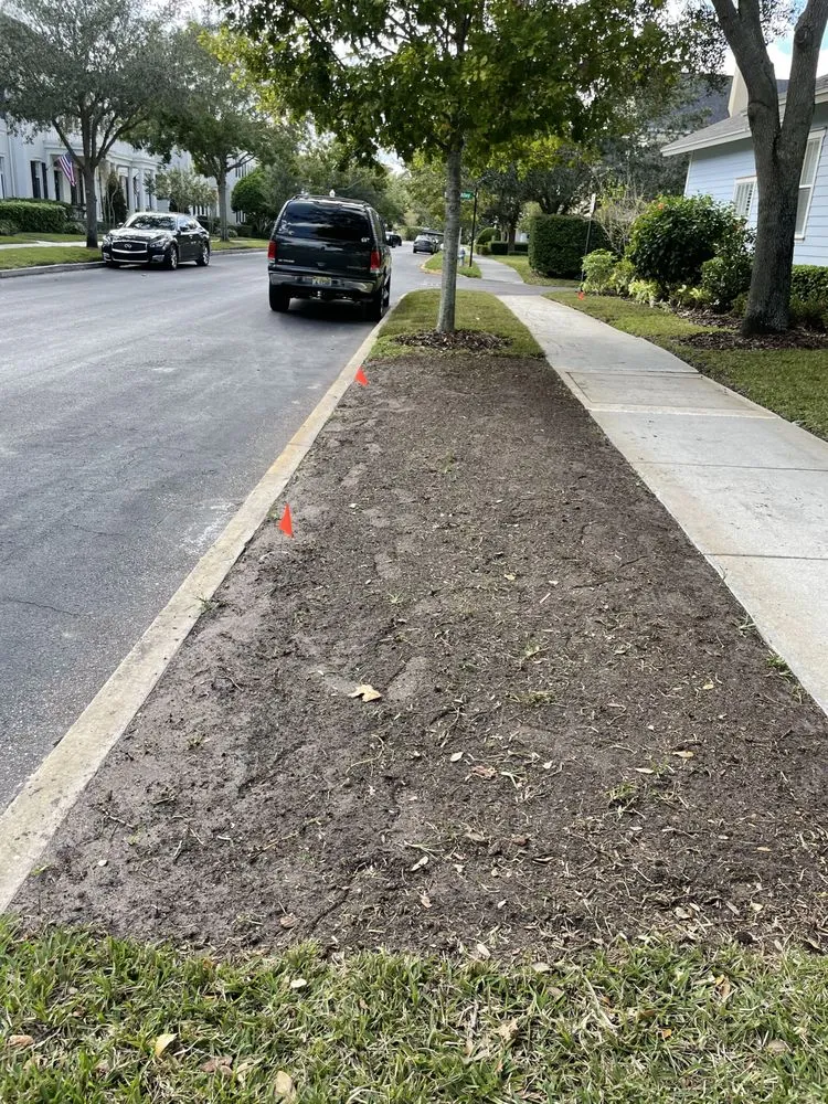 Affordable residential landscaping in Orlando, FL by Rachels Reliable Landscaping