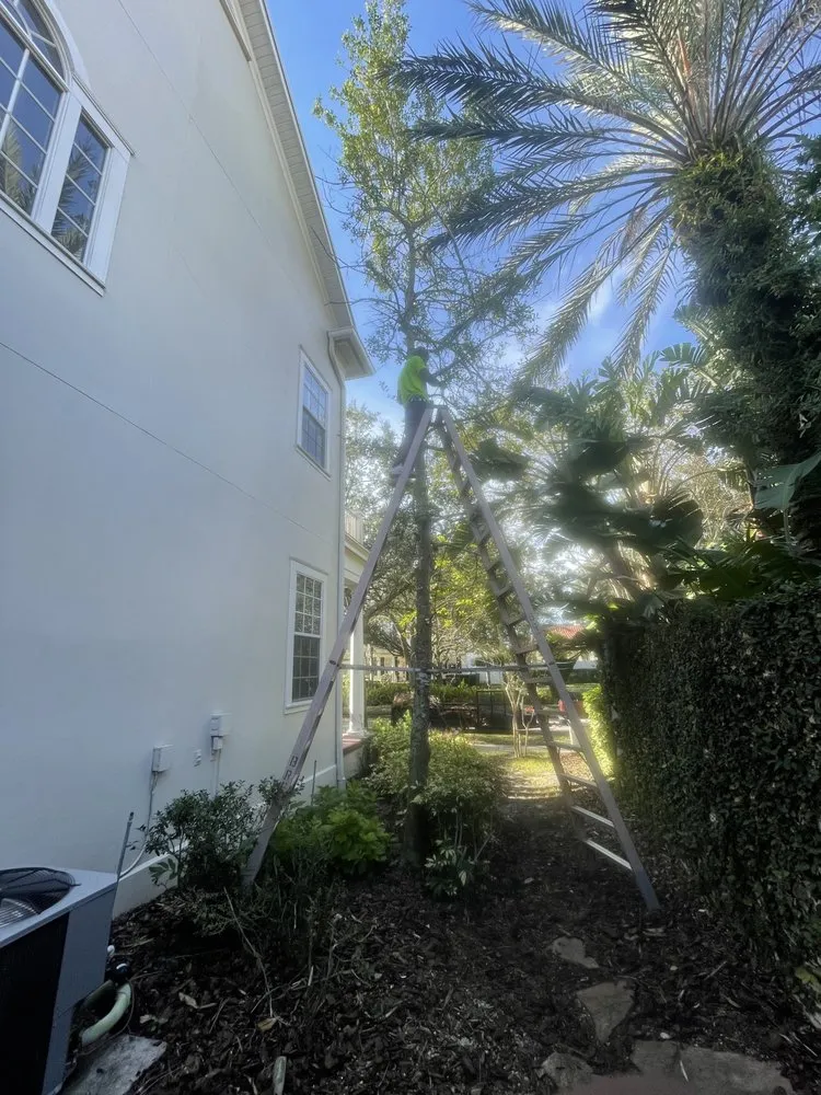 Affordable lawn care service for homes across Orlando, FL - Rachels Reliable Landscaping