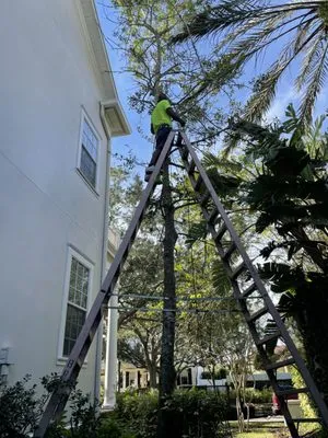 Rachels Reliable Landscaping Logo