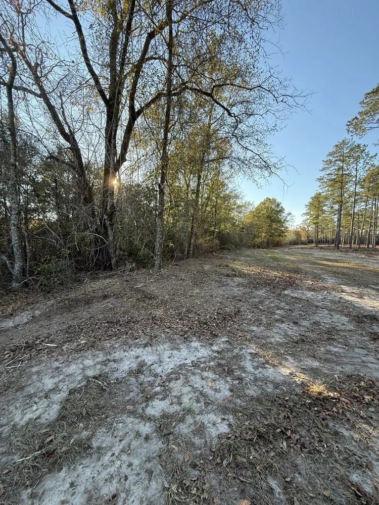 Custom lawn care service in Vienna, GA - Rad Land Services