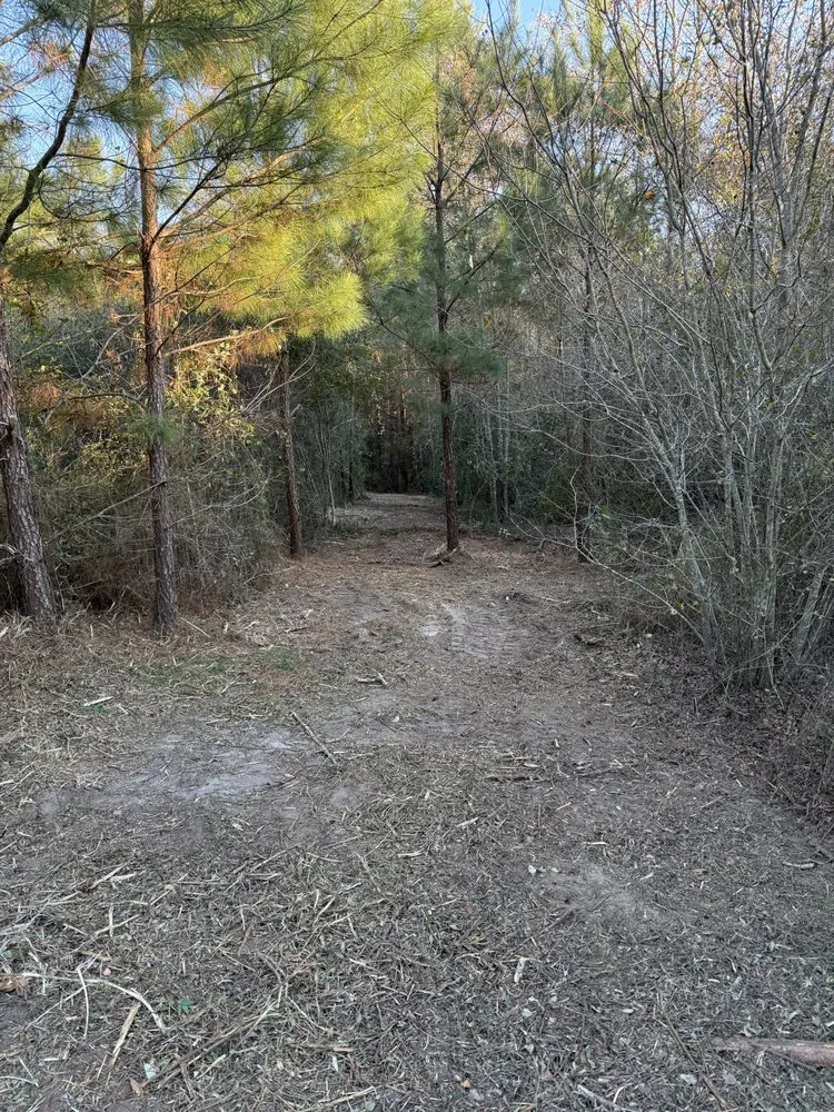 Local lawn mowing service for outdoor upgrades across Vienna, GA - Rad Land Services