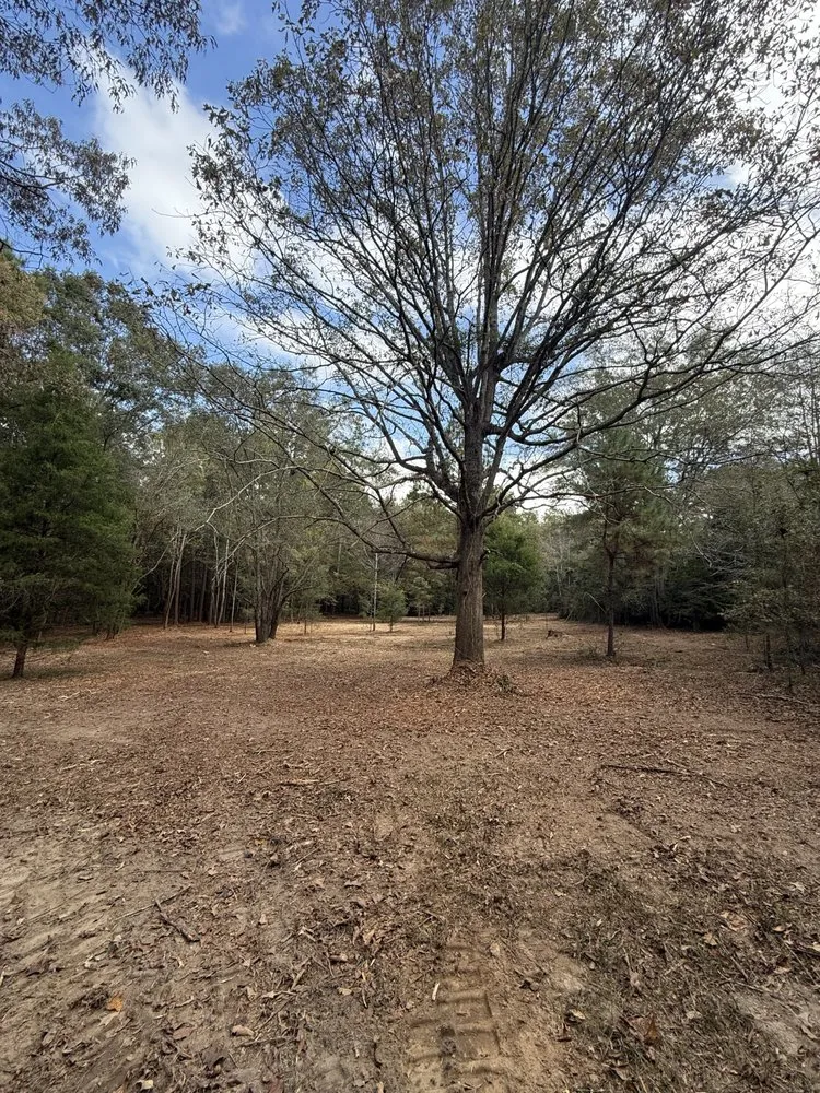 Reliable lawn mowing service for beautiful yards across Vienna, GA - Rad Land Services