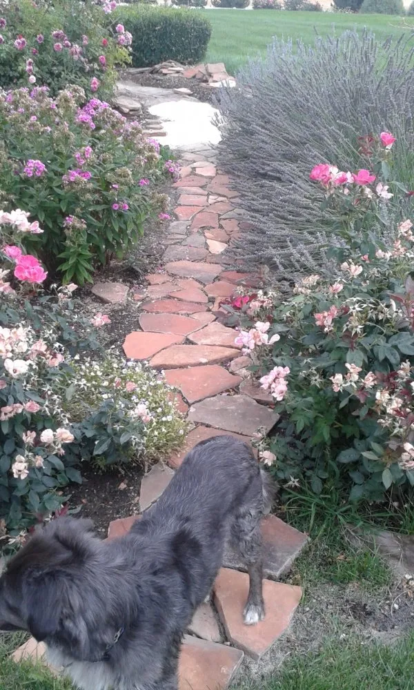 Top-rated landscape installation for residential properties in Lewiston, ID by Rad Man Construction